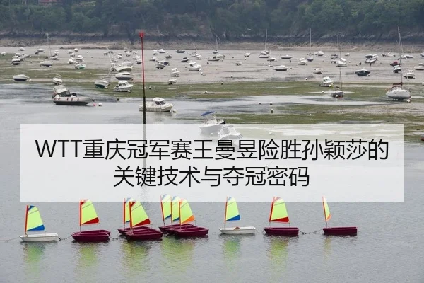 WTT重庆冠军赛王曼昱险胜孙颖莎的关键技术与夺冠密码